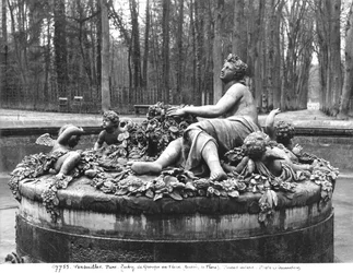 Grupo de Flora